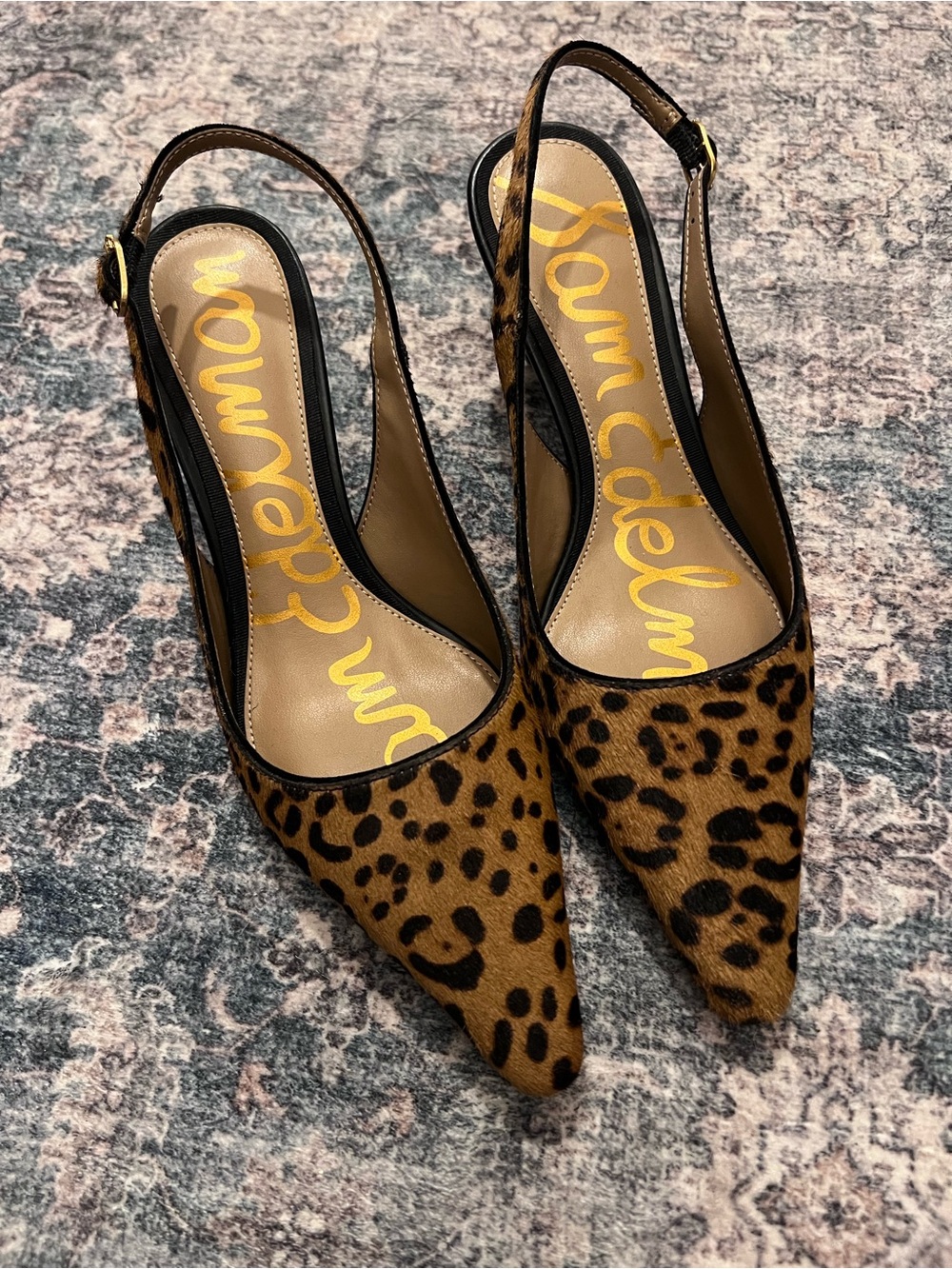 Sam Edelman Leopard-Print Slingback Pointed Toe Pumps - Brown & Black - 6.5